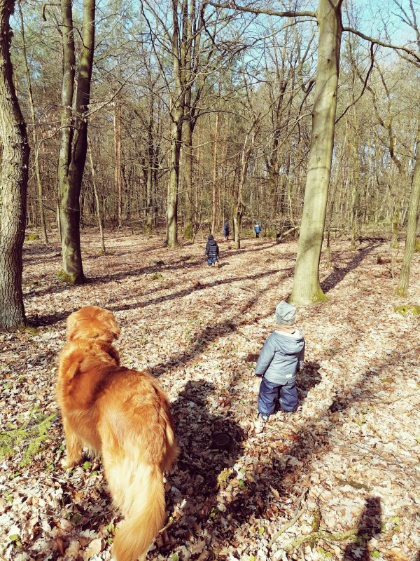 Im Wald