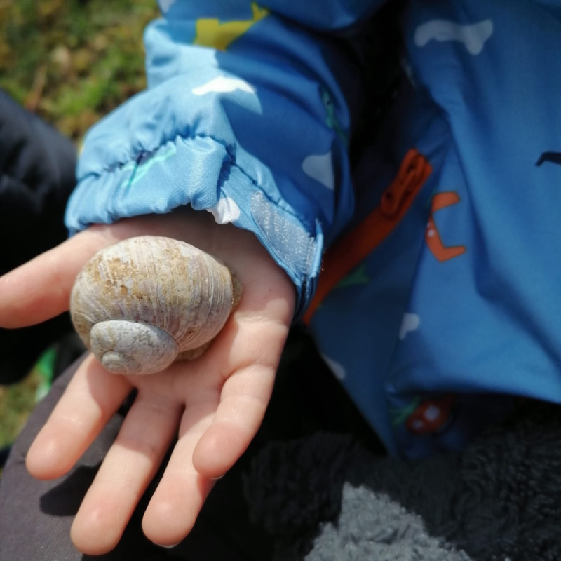 Entdecken und Beobachten