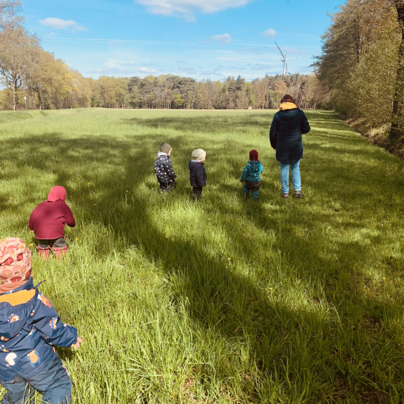 Durch Wald und Wiese