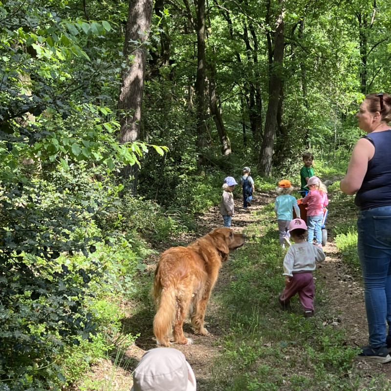 Auf dem Weg zum Waldspielplatz