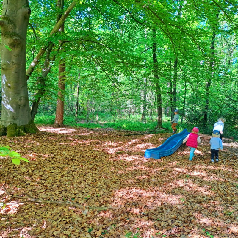 Der Waldspielplatz