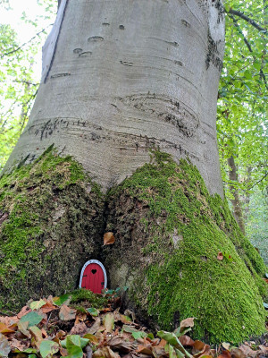 Besuch bei den "anderen"Wichteln